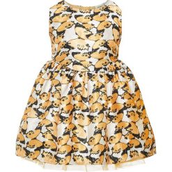 Sukienka "Faline" w kolorze pomarańczowo-beżowo-czarnym. Pomarańczowe sukienki niemowlęce name it girls, bez wzorów, z tiulu, bez rękawów, mini, rozkloszowane. W wyprzedaży za 92,95 zł.