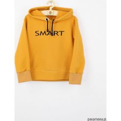 Bluza personalizowana z dowolnym nadrukiem. Szare bluzy dziewczęce Pakamera, z nadrukiem, z bawełny. Za 89,00 zł.