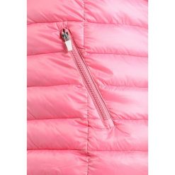 Bomberki damskie: Zizzi ZAUSTIN JACKET Kurtka przejściowa morning glory