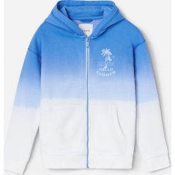 Bluza dresowa z kapturem - Niebieski. Niebieskie bluzy męskie Reserved, m, bez wzorów, z dresówki, z kapturem, bez rękawów, z kapturem. Za 69,99 zł.