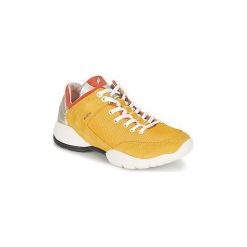 Buty Geox SFINGE A. Trampki i tenisówki damskie Geox. Za 284,50 zł.