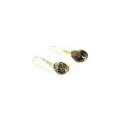 Earrings Muszle Ciemne Złoto. Żółte kolczyki damskie Brazi druse jewelry, złote. Za 70,00 zł.