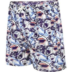 Spodenki chłopięce: AQUAWAVE Szorty dziecięce Shark Shorts Jr wielokolorowe r. 152