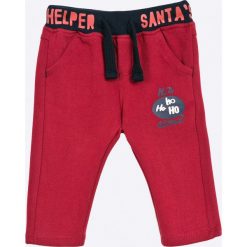 Blukids - Spodnie dziecięce 68-98 cm. Brązowe spodnie chłopięce Blukids, z nadrukiem, z dzianiny, casualowe. W wyprzedaży za 19,90 zł.