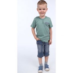 T-shirt chłopięcy w paski zielony NDZ4474. Zielone t-shirty chłopięce marki Fasardi, w paski, bez rękawów. Za 39,00 zł.
