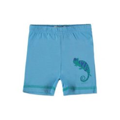 ESPRIT Boys Szorty turkus. Niebieskie spodenki chłopięce marki Esprit, z bawełny. Za 44,00 zł.