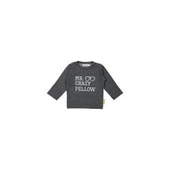 Dirkje Koszulka Chłopięca Mr. Crazy 104 Szara. Szare t-shirty chłopięce z nadrukiem marki Dirkje. Za 55,00 zł.