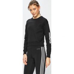 The North Face - Bluza. Czarne bluzy damskie marki The North Face, s, z bawełny, bez kaptura. Za 299,90 zł.