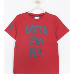 Koszulka. Czerwone t-shirty chłopięce z krótkim rękawem marki BASIC BOY, z aplikacjami. Za 35,90 zł.