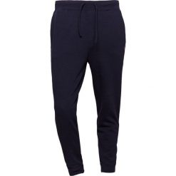 Spodnie męskie: Polo Ralph Lauren DOUBLE Spodnie treningowe aviator navy