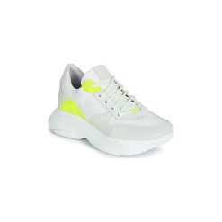 Buty Steve Madden Zela. Trampki i tenisówki damskie Steve Madden. Za 363,30 zł.