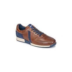 Trampki męskie: Buty Redskins HARKER