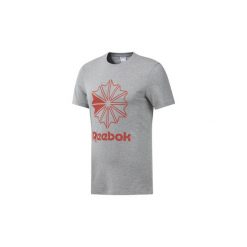 T-shirty z krótkim rękawem Reebok Classic Koszulka Classics Big Logo. Szare koszulki męskie Reebok Classic, s, bez wzorów, bez kołnierzyka, krótkie. Za 119,00 zł.