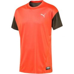 Puma A.C.E. Ss Tee Firecracker Forest Night Xl. Czerwone koszulki sportowe męskie marki Puma, xl, ze skóry, na fitness i siłownię. Za 89,00 zł.