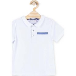 T-shirty chłopięce: Coccodrillo – Polo dziecięce 104-152 cm