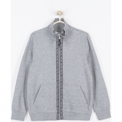 Bluza. Szare bluzy chłopięce marki BASIC BOY, z napisami, z bawełny. Za 49,90 zł.