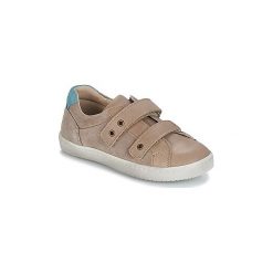 Buty Dziecko André LES ASTRES. Brązowe trampki chłopięce Andre. Za 207,20 zł.