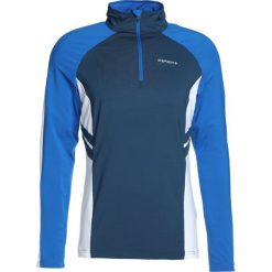 Bluzy męskie: Icepeak NATE Bluza z polaru blue