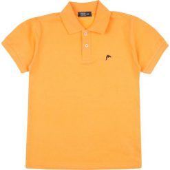 TXM T-shirt chłopięcy polo 146 POMARAŃCZOWY. Pomarańczowe t-shirty chłopięce TXM, bez wzorów, bez rękawów. Za 9,99 zł.