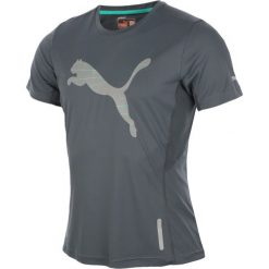 Koszulki sportowe męskie: koszulka do biegania męska PUMA PURE NIGHTCAT SHORTSLEEVE TEE / 511999-01 – PUMA PURE NIGHTCAT SHORTSLEEVE TEE