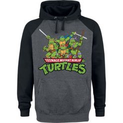 Teenage Mutant Ninja Turtles Group Bluza z kapturem czarny/ciemnoszary. Szare bluzy męskie marki Teenage Mutant Ninja Turtles, l, z kapturem. Za 164,90 zł.