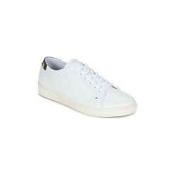 Tenisówki męskie: Buty Faguo ASPENLOW LEATHER
