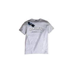 T-shirt krótki rękaw męski z nadrukiem. Szare t-shirty męskie z nadrukiem TXM, m. Za 19,99 zł.