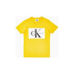 T-shirty z krótkim rękawem Calvin Klein Jeans J30J307843 MONOG.BOX LOGO. Żółte t-shirty męskie Calvin Klein Jeans, s, bez wzorów, z jeansu, bez kołnierzyka, krótkie. Za 173,61 zł.