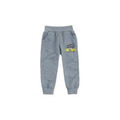 Spodnie niemowlęce. Szare spodnie niemowlęce marki TXM, z aplikacjami. Za 12,99 zł.