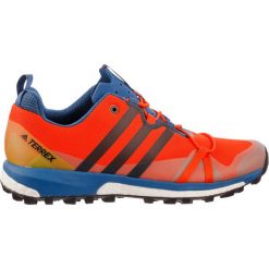 Buty sportowe męskie: buty do biegania męskie ADIDAS TERREX AGRAVIC / BB0965