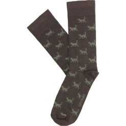 Skarpety cats brąz. Skarpetki męskie Recman. Za 19,00 zł.