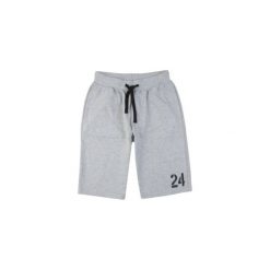 Szorty męskie sportowe. Szare spodenki i szorty męskie marki TXM, m, sportowe. Za 23,99 zł.