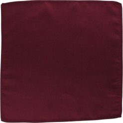 Elegancka, Męska Poszetka - ALTIES - Bordo POSZALTTANIA0096. Czerwone poszetki męskie Alties, bez wzorów, z materiału, eleganckie. Za 16,90 zł.