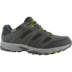 Buty trekkingowe męskie: Hi-tec Buty męskie Sensor Low WP Charcoal/Black/Sunray r. 44