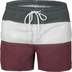Krótkie spodenki męskie w paski Recea. Spodenki i szorty męskie Recea, xxl, w paski, krótkie. Za 29,99 zł.