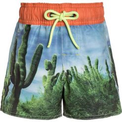 Kąpielówki chłopięce: Claesen‘s Szorty kąpielowe multicolor