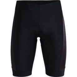 Kalesony męskie: Pearl Izumi SELECT Legginsy black