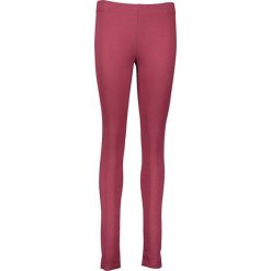 Legginsy: Legginsy w kolorze bordowym