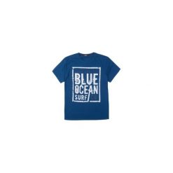 T-shirt krótki rękaw męski z printem. Niebieskie t-shirty męskie TXM, m. Za 14,99 zł.