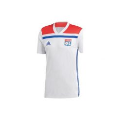 Koszulka krótki rękaw do piłki nożnej OL męska. Szare koszulki męskie marki Adidas, m, bez wzorów, bez kołnierzyka, z krótkim rękawem, krótkie. Za 219,99 zł.