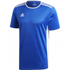 Koszulka adidas Entrada 18 (CF1037). Niebieskie koszulki męskie Adidas, m, bez wzorów, z poliesteru, bez kołnierzyka, z krótkim rękawem, krótkie, na fitness i siłownię. Za 49,99 zł.