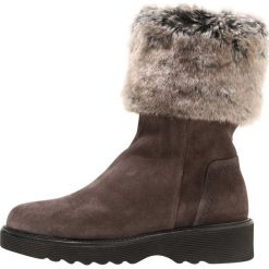 Buty zimowe damskie: Aquatalia KELLY Śniegowce dark grey