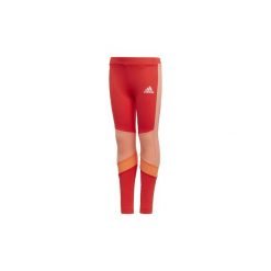 Legginsy dziewczęce: Legginsy i Rajstopy Dziecko adidas Legginsy treningowe