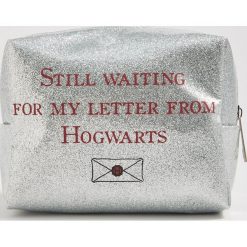 Kosmetyczka Harry Potter - Jasny szar. Kosmetyczki damskie Sinsay, bez wzorów. Za 19,99 zł.