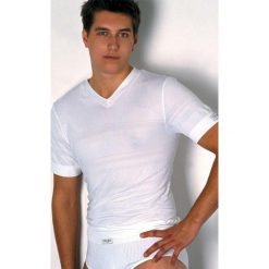 Bezszwowy T-shirt męski HASTER Slimfit Sport. Szare koszulki sportowe męskie marki Haster, m, w prążki, z dzianiny. Za 48,99 zł.