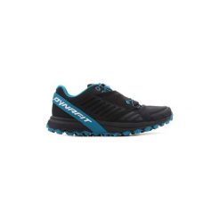 Buty Dynafit Alpine PRO W 64029 0920. Szare trampki i tenisówki damskie marki Dynafit, bez wzorów, bez zapięcia. Za 499,10 zł.