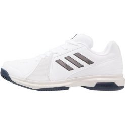 Buty trekkingowe męskie: adidas Performance APPROACH Obuwie multicourt white/night metallic/mystery ink