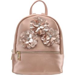 Plecaki damskie: Call it Spring PITMAN Plecak brown miscellaneous