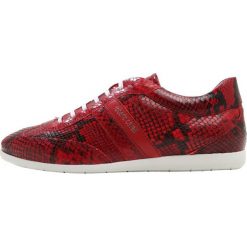 Trampki męskie: Roberto Cavalli LUCAS Tenisówki i Trampki es rosso