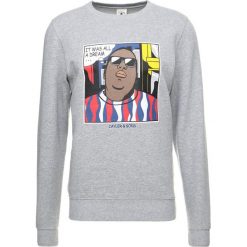 Bluzy męskie: Cayler & Sons WL BIGGENSTEIN CREWNECK Bluza htr grey/mc